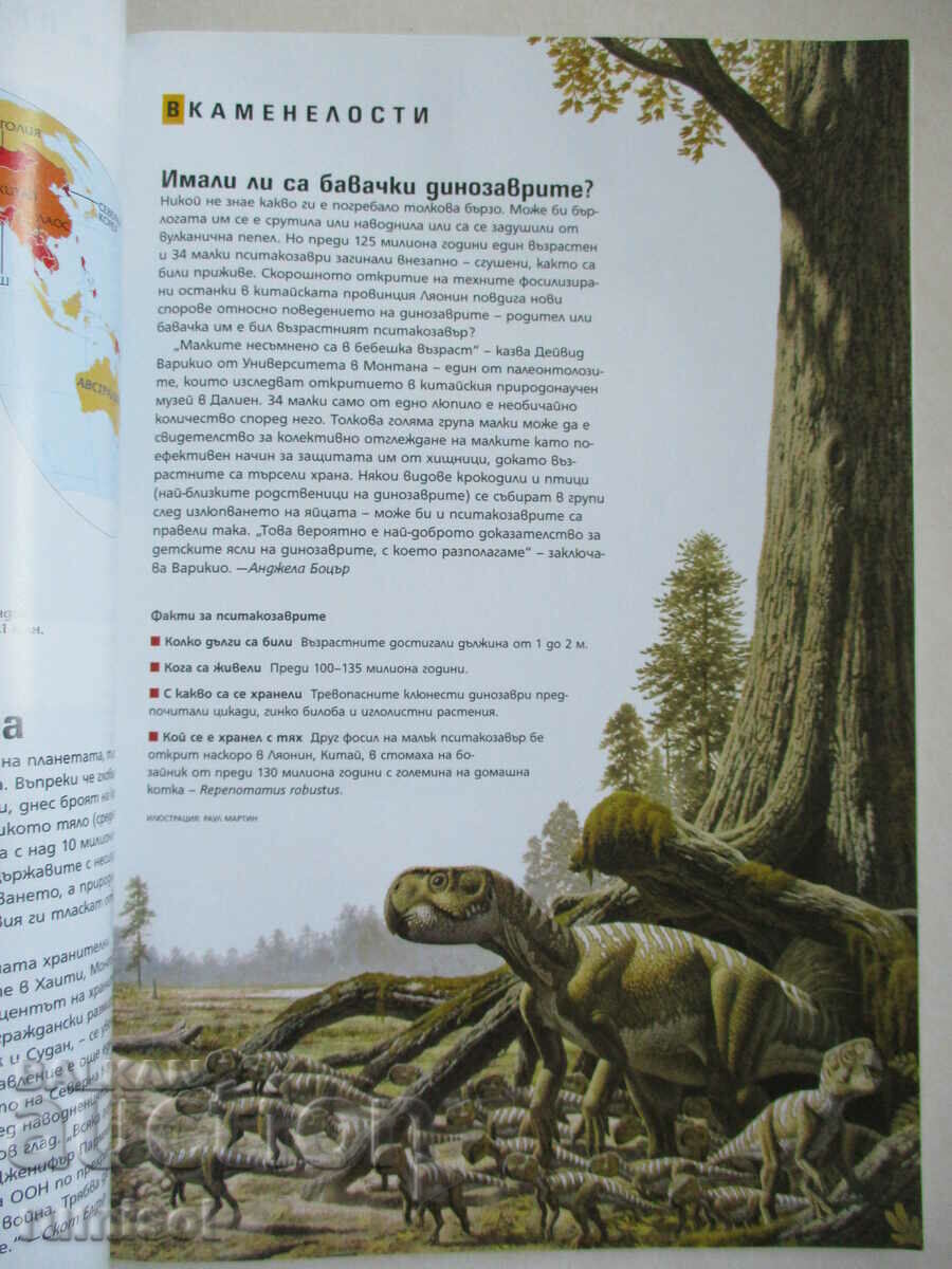 National Geographic - June 2006 - 5 National Geographic - June 2006 - 5