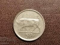 Eire 5 pence 1993 BIK