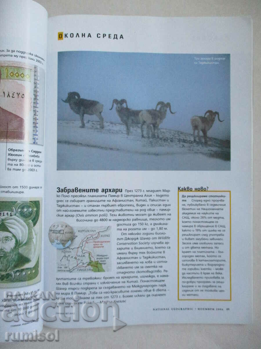 Auction  National Geographic - November 2006