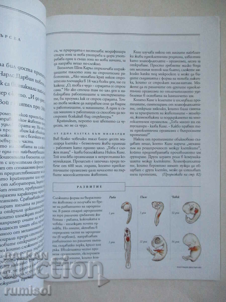 Delivery of National Geographic - November 2006 Delivery of National Geographic - November 2006