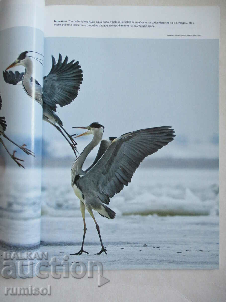 National Geographic - January 2008 with price 5.59 BGN | € 2.86 National Geographic - January 2008 with price 5.59 BGN | € 2.86