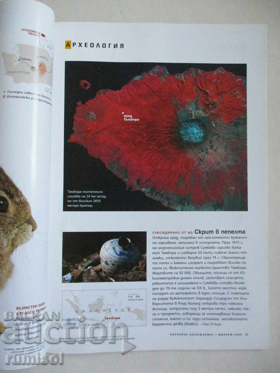 Auction National Geographic - January 2008 Auction National Geographic - January 2008