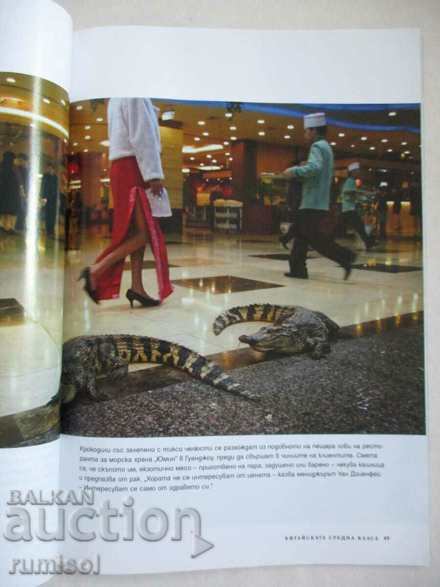 Auction  National Geographic - May 2008