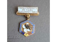 Insigna apicultorilor albina 1963 rar!