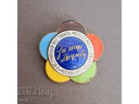 Festival of Youth 1957 USSR Moscow badge enamel