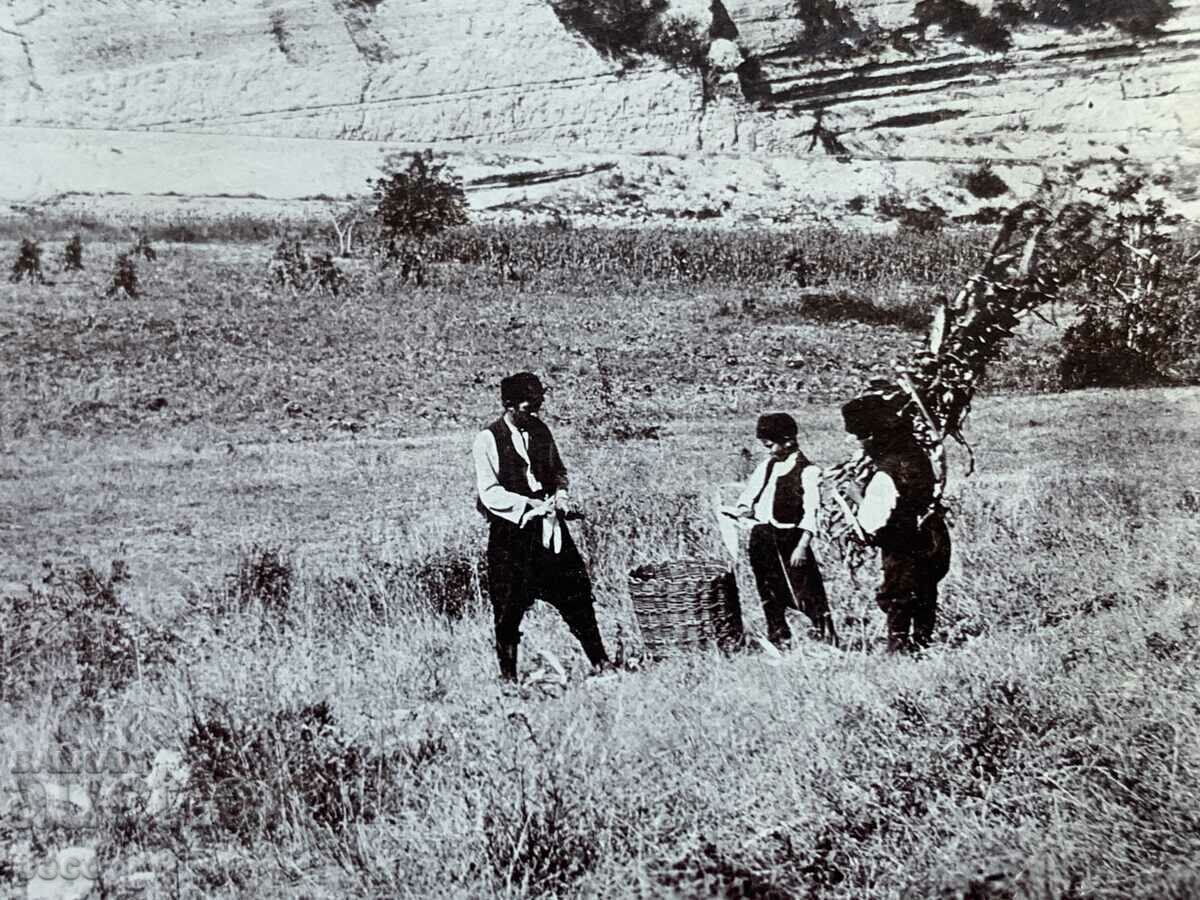 Karlukovo Photographer Georg Volz with price 100.00 BGN | € 51.13 Karlukovo Photographer Georg Volz with price 100.00 BGN | € 51.13