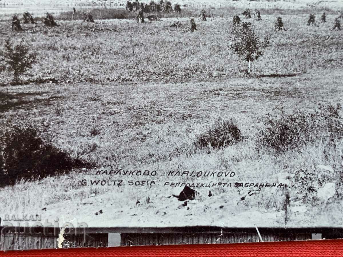 Auction Karlukovo Photographer Georg Volz Auction Karlukovo Photographer Georg Volz