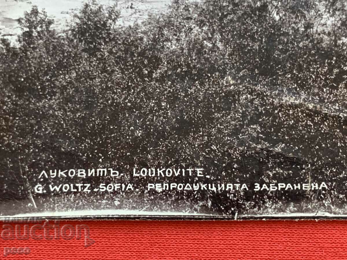 Delivery of Lukovit Photographer Georg Volz early 20th century Delivery of Lukovit Photographer Georg Volz early 20th century