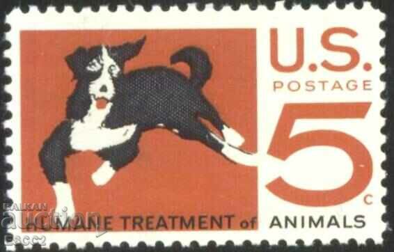 Pure Brand Animal Welfare Dog 1966 από τις ΗΠΑ