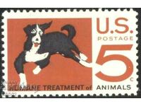 Pure Brand Animal Welfare Dog 1966 from USA