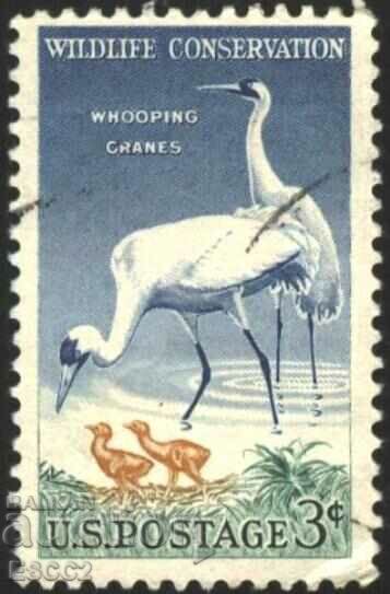 Stamped stamp Fauna Bird American Crane 1992 from USA