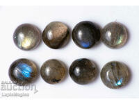 8 Labradorite 12,53ct 7mm Στρογγυλά Cabochons #5