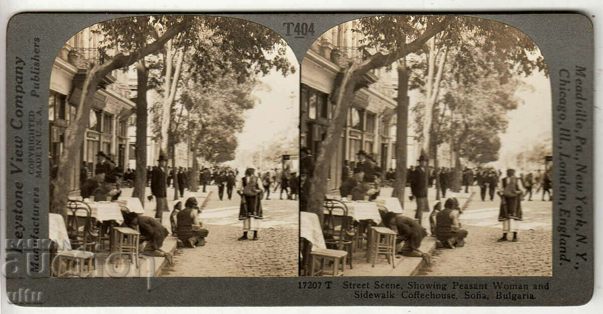 Bulgaria, Sofia, tobogan stereoscop, cafenea