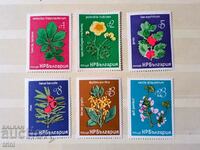 Bulgaria 1976 flora Rare trees and shrubs