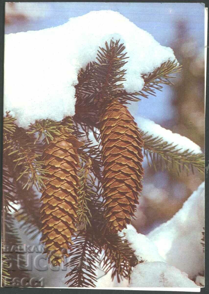 Greeting card New Year 1987 from USSR Estonia