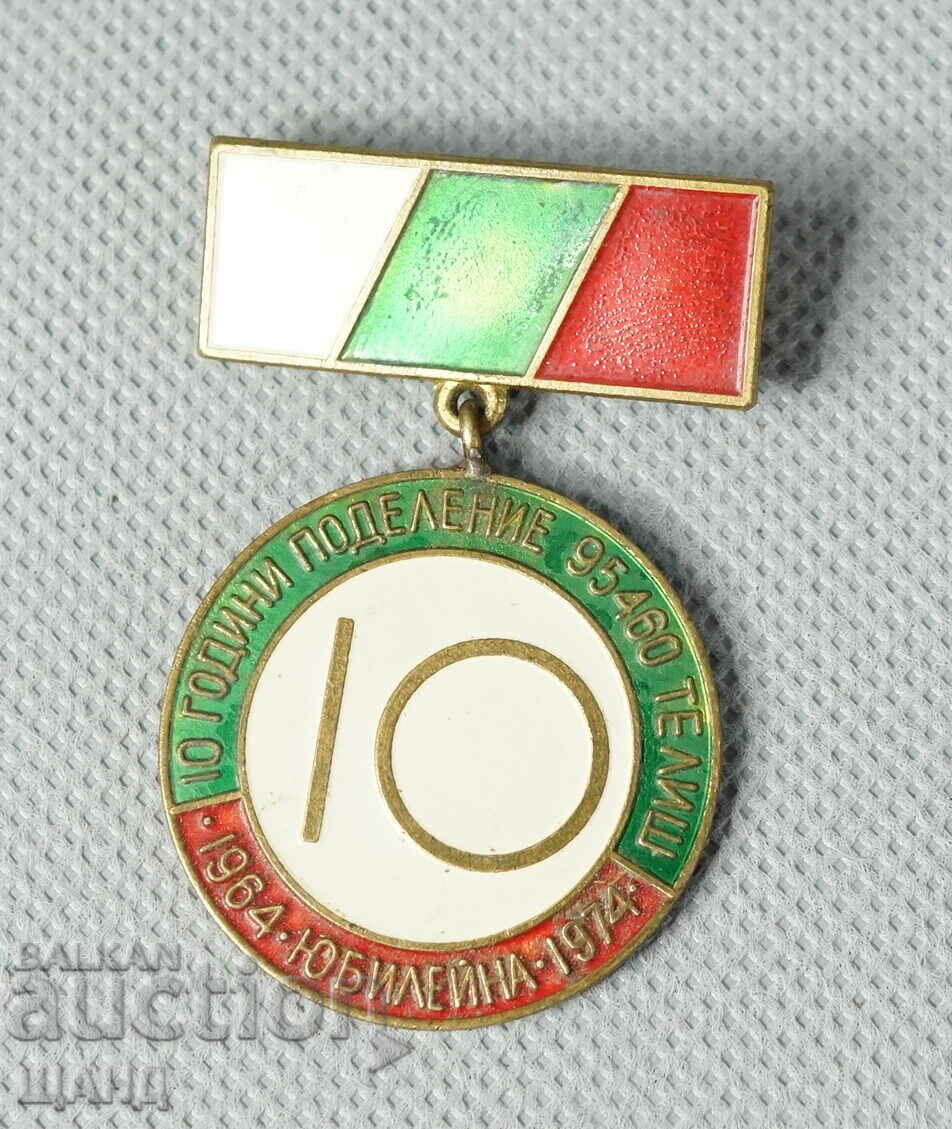 1964 Rare sign medal enamel 10 years division 95460 Telish