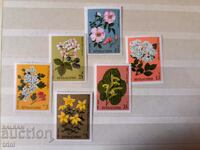 Bulgaria 1981 Flora Plante medicinale