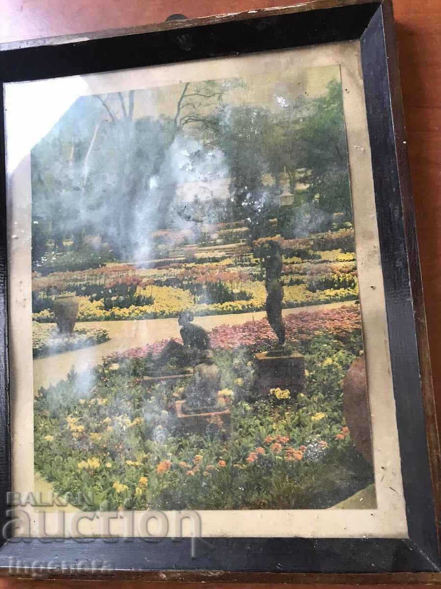 Licitație AFIS FOTO RAMA LEMN STICLA SOCA