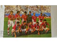 Large poster of the 1994 national football team