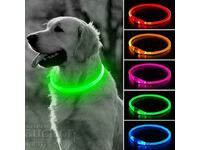 Luminous LED collar for large and small breeds of dogs, leash