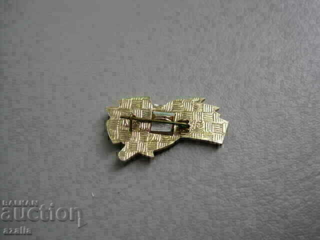 Auction  Badge MOSCOW city hero