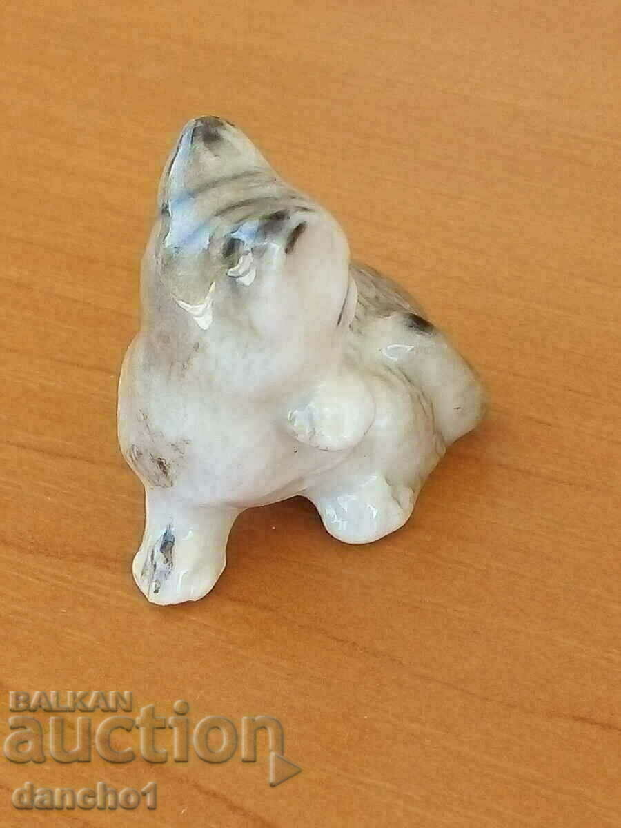 Licitație Un pisoi mic Licitație Un pisoi mic