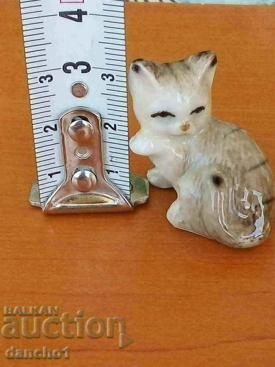 Un pisoi mic - 6 Un pisoi mic - 6