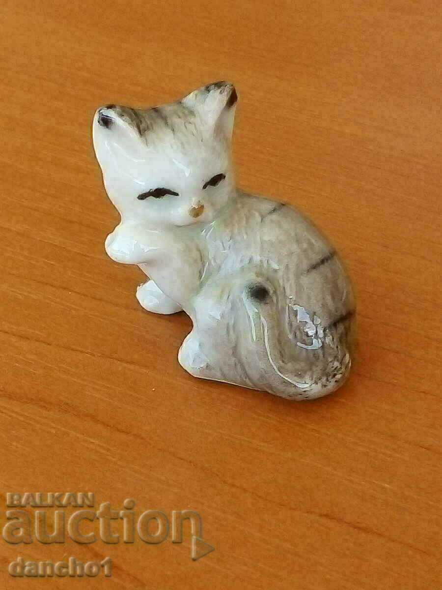 Малко  коте