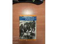 Иван Руж ТАЙНСТВЕНОТО ОТВЛИЧАНЕ 1968 г.