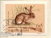 1964. Hungary. Play of colors...with the rabbits. CURIOSITY!