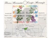 1994. Slovenia. SLOVACA VIZIUNEA LUMII. Bloc. CURIOZITATE!