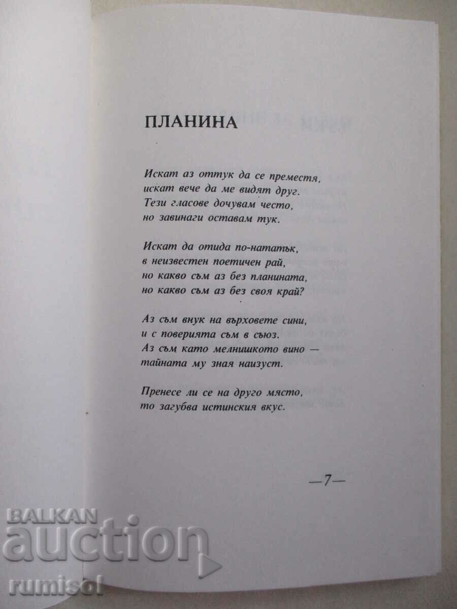 Auction Mountain - Evtim Evtimov Auction Mountain - Evtim Evtimov