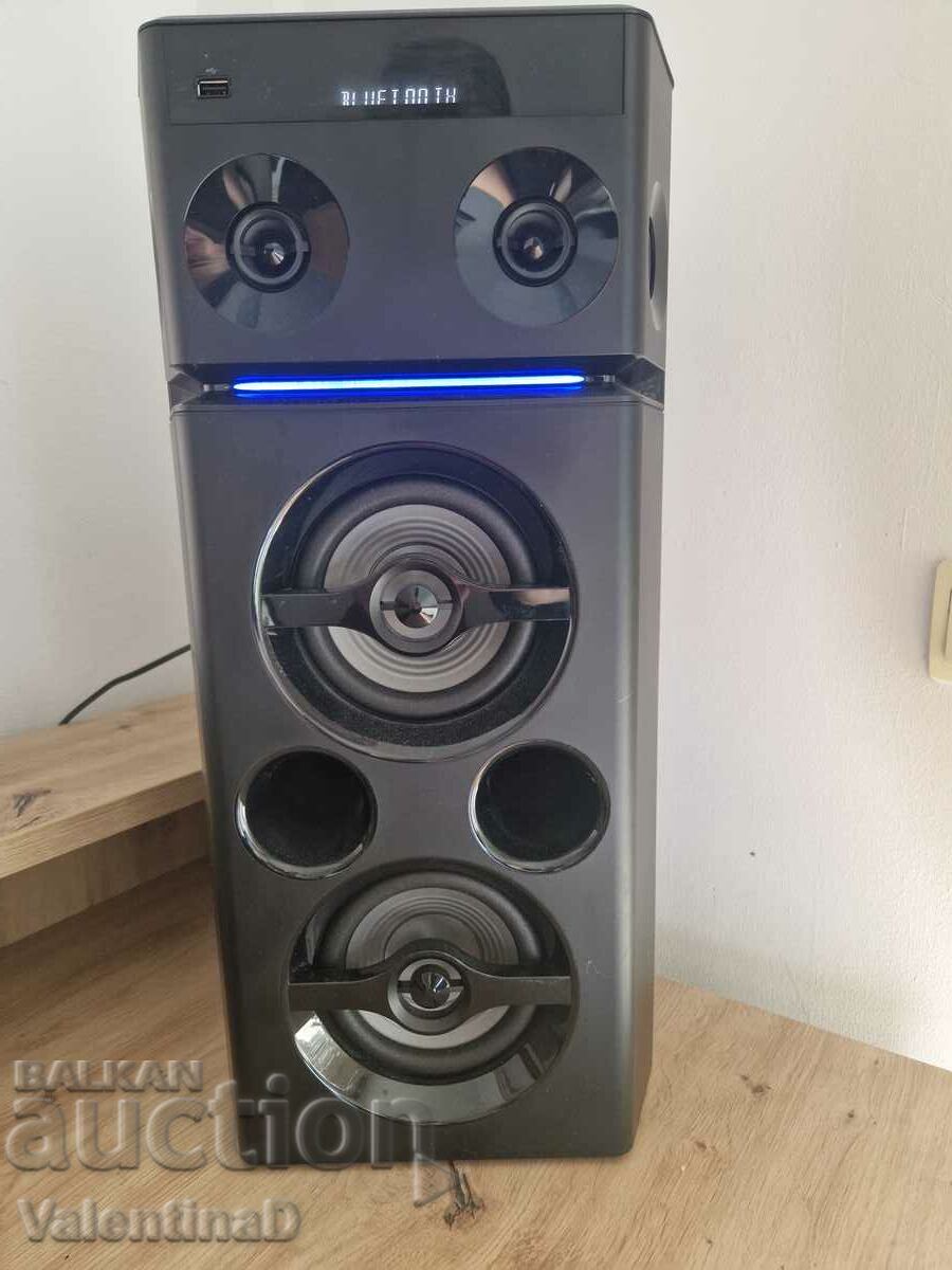 PANASONIC 300W audio system