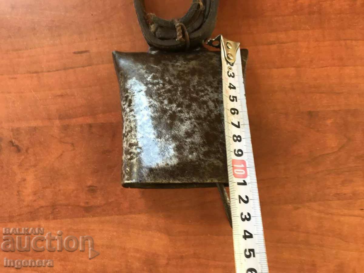 Delivery of CHAN BELL HORSE BOY Delivery of CHAN BELL HORSE BOY