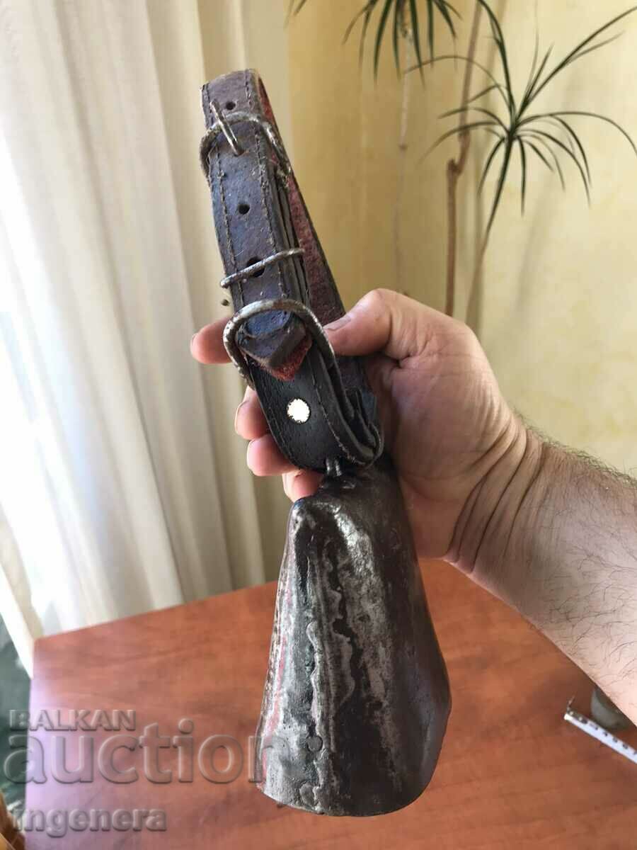 CHAN BELL HORSE BOY - 6 CHAN BELL HORSE BOY - 6