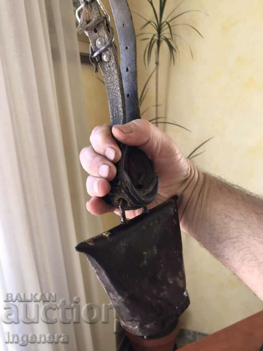 BOY CHAN THUMBELEK - 5 BOY CHAN THUMBELEK - 5