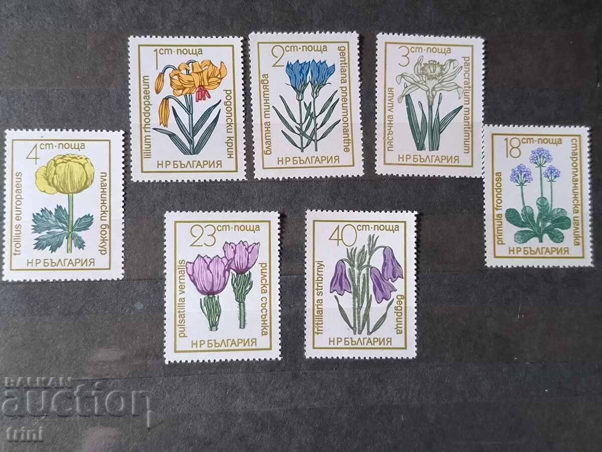 Bulgaria 1972 Ierburi florale