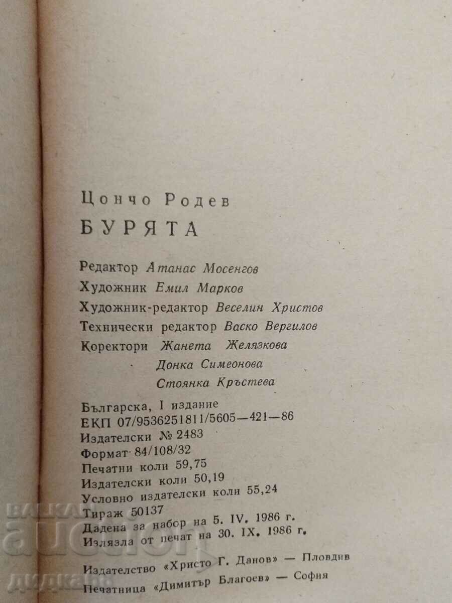 Auction The storm / Tsoncho Rodev Auction The storm / Tsoncho Rodev