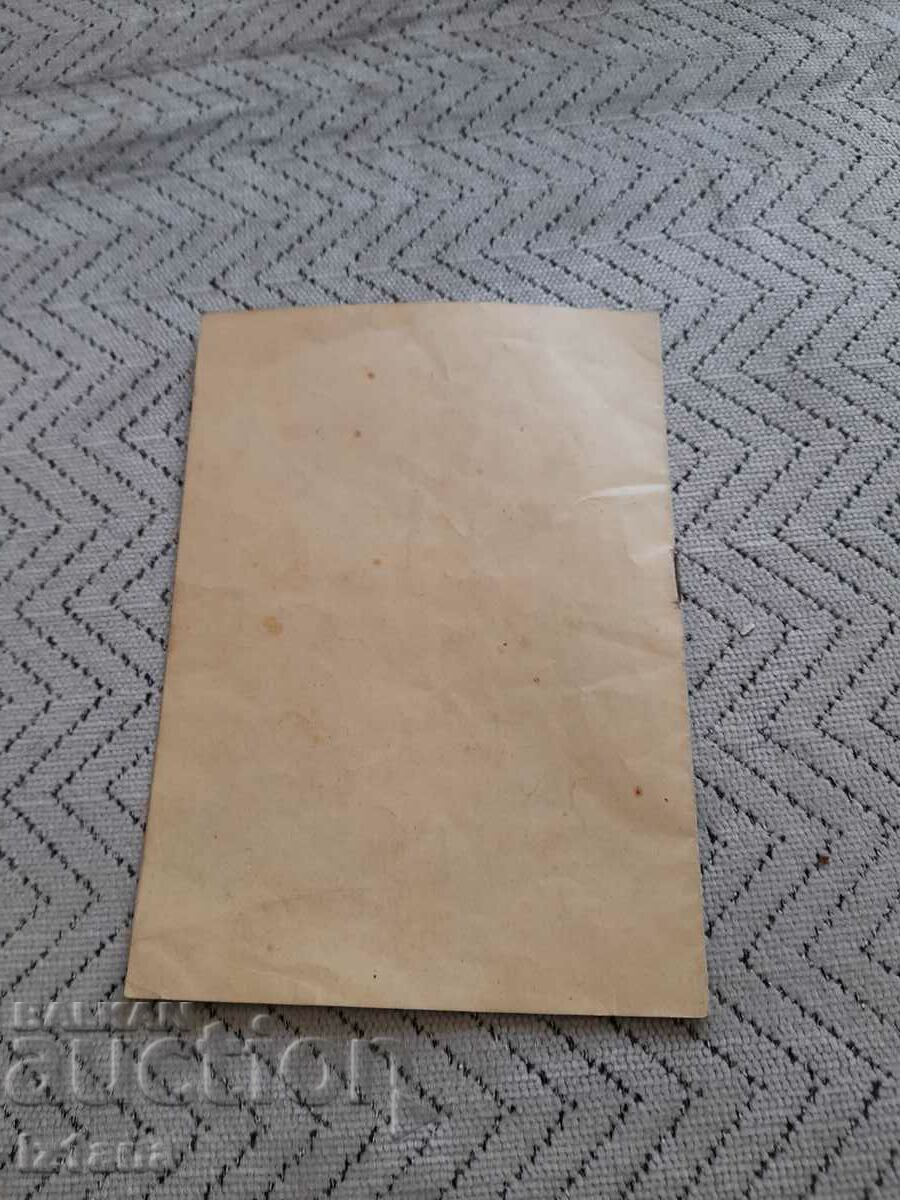 Delivery of Old brochure Pinocchio People's Puppet Theater