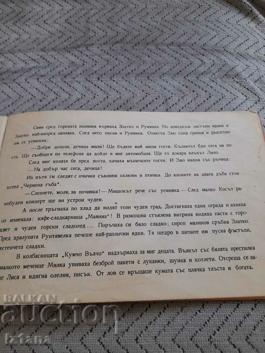 Παλιό παιδικό βιβλίο Ευτυχισμένος κόσμος, Στη δασική πόλη - 5 Παλιό παιδικό βιβλίο Ευτυχισμένος κόσμος, Στη δασική πόλη - 5
