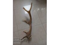 Antler