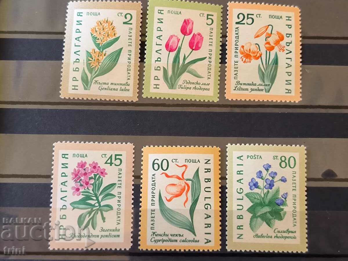 Bulgaria 1960 Save nature flowers