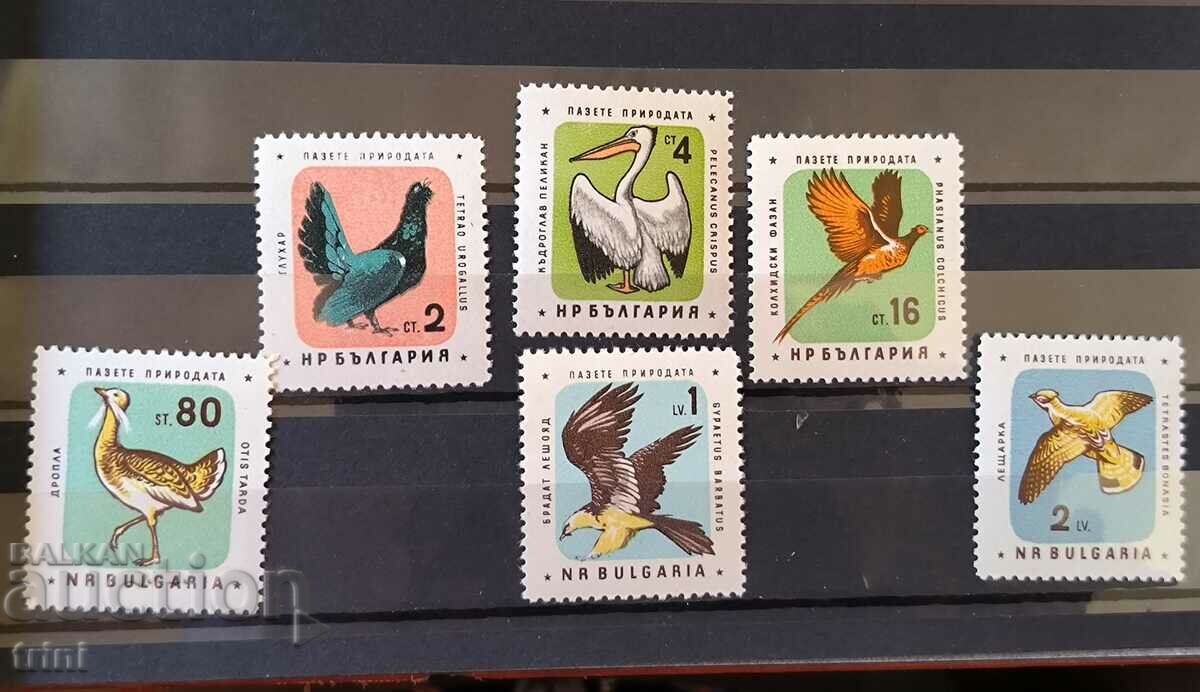 Bulgaria 1961 Protect nature birds