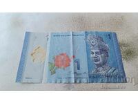 Πολυμερές ringgit Malaysia 1