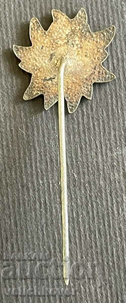 38008 Bulgaria tourist sign BTS Dvo Aleko Sofia with price 4.00 BGN | € 2.05 38008 Bulgaria tourist sign BTS Dvo Aleko Sofia with price 4.00 BGN | € 2.05