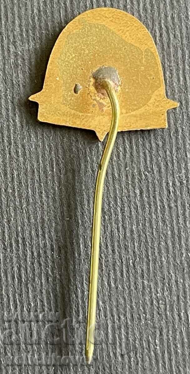 38011 Bulgaria tourist sign BTS Cave Ledenika enamel with price 4.00 BGN | € 2.05 38011 Bulgaria tourist sign BTS Cave Ledenika enamel with price 4.00 BGN | € 2.05