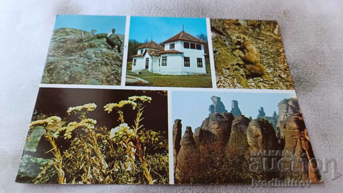 Carte poștală Belogradchik Muzeul de Istorie Naturală Colaj 1984