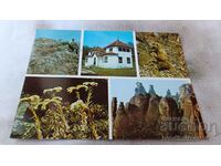 Carte poștală Belogradchik Muzeul de Istorie Naturală Colaj 1984