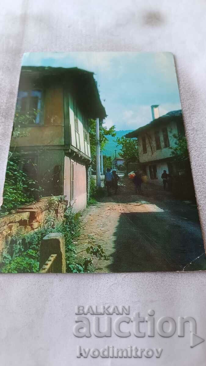 Carte poștală Grassy View