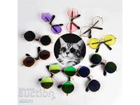 Sunglasses for cats and dogs /c